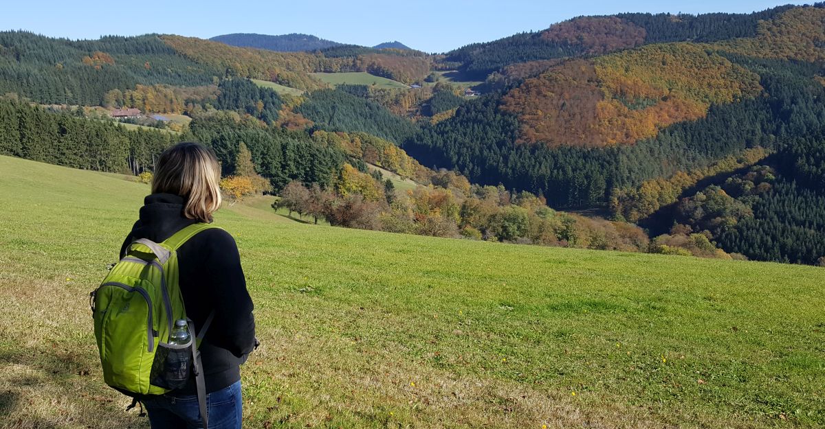 Fall has arrived in the Black Forest | Black Forest Tours